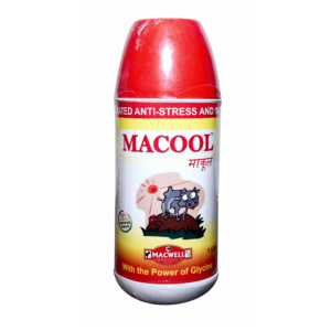 macool