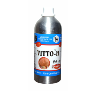 vitto-h
