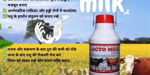 गाय और भैंस का दूध क्यों नहीं बढ़ता? जानिए वो 5 छिपे हुए कारण जो आपका मुनाफा खा रहे हैं