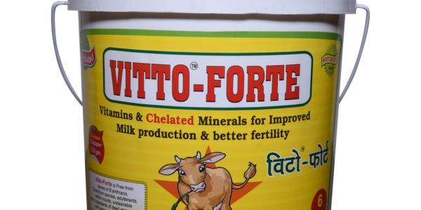 Best mineral mixture in india for cow and buffalo